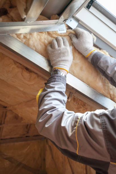 Best Insulation Installation Services in Laurel, DE