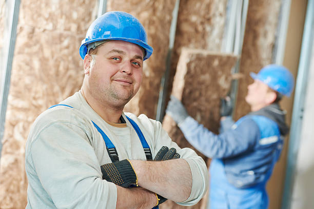 Best Insulation Installation Services in Laurel, DE